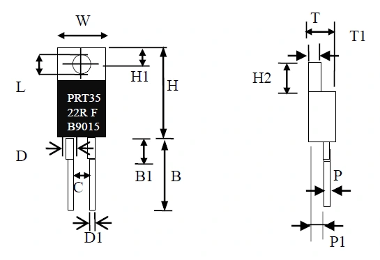 To220 Thick Film Power Resistor